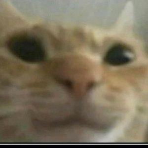 Meet your Posher, Ruby